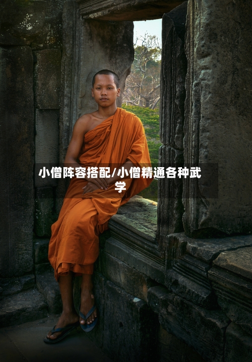 小僧阵容搭配/小僧精通各种武学