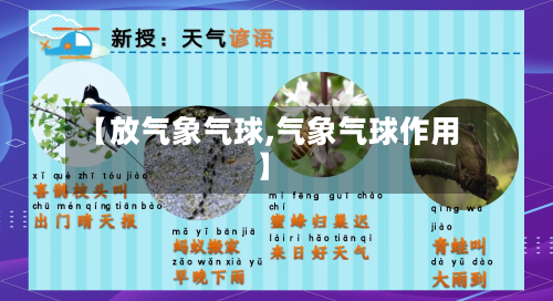 【放气象气球,气象气球作用】