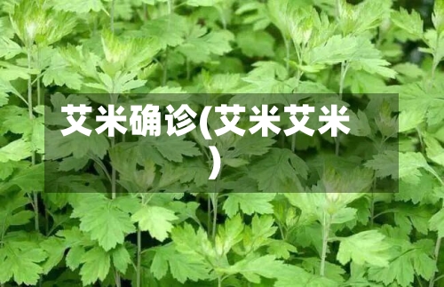 艾米确诊(艾米艾米)