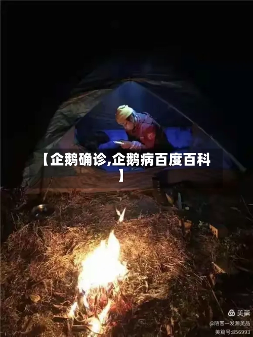 【企鹅确诊,企鹅病百度百科】