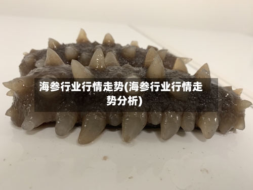 海参行业行情走势(海参行业行情走势分析)