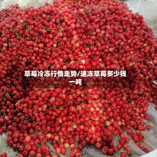 草莓冷冻行情走势/速冻草莓多少钱一吨