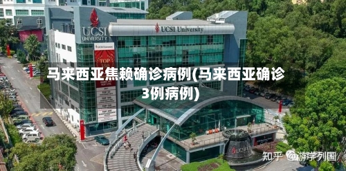 马来西亚焦赖确诊病例(马来西亚确诊3例病例)-第3张图片