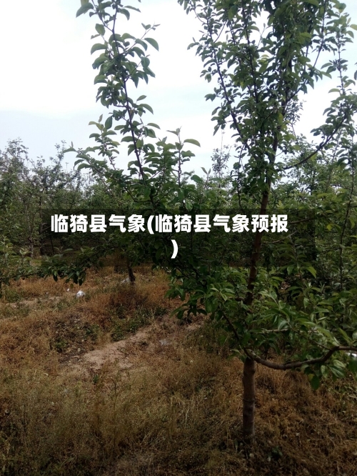 临猗县气象(临猗县气象预报)-第2张图片