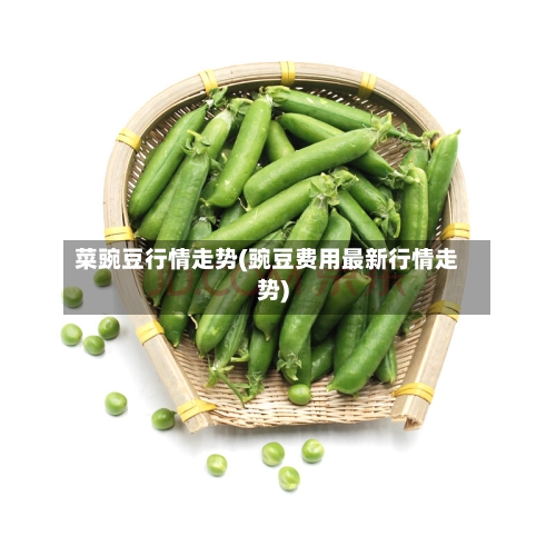 菜豌豆行情走势(豌豆费用最新行情走势)