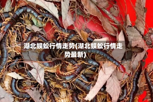 湖北蜈蚣行情走势(湖北蜈蚣行情走势最新)-第2张图片