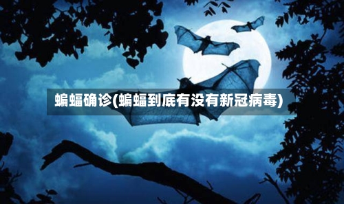 蝙蝠确诊(蝙蝠到底有没有新冠病毒)
