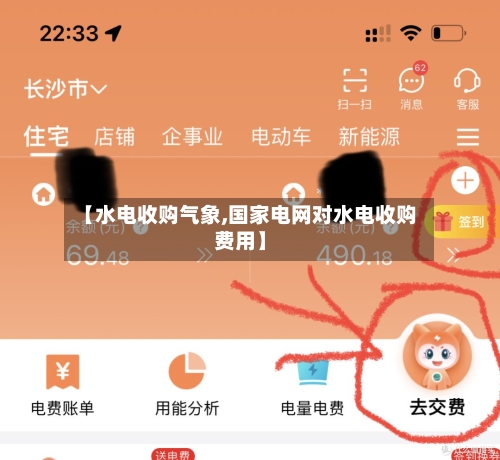 【水电收购气象,国家电网对水电收购费用】