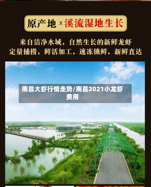 南昌大虾行情走势/南昌2021小龙虾费用-第2张图片