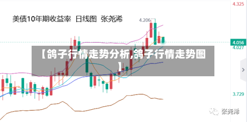 【鸽子行情走势分析,鸽子行情走势图】