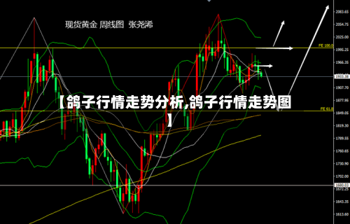 【鸽子行情走势分析,鸽子行情走势图】-第2张图片