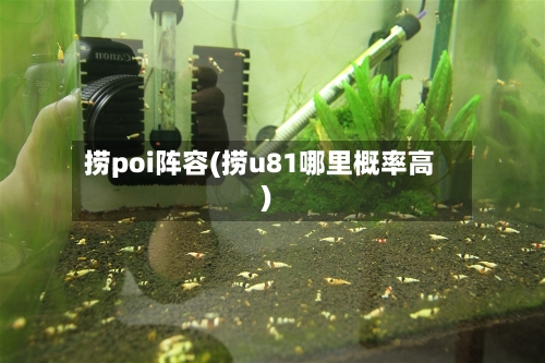 捞poi阵容(捞u81哪里概率高)