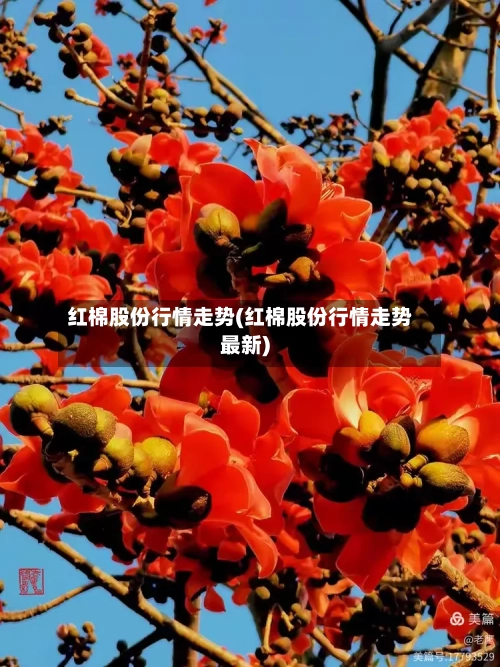 红棉股份行情走势(红棉股份行情走势最新)