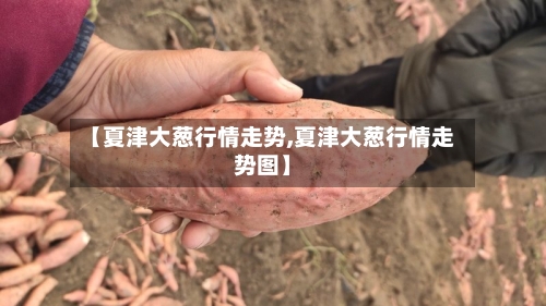【夏津大葱行情走势,夏津大葱行情走势图】