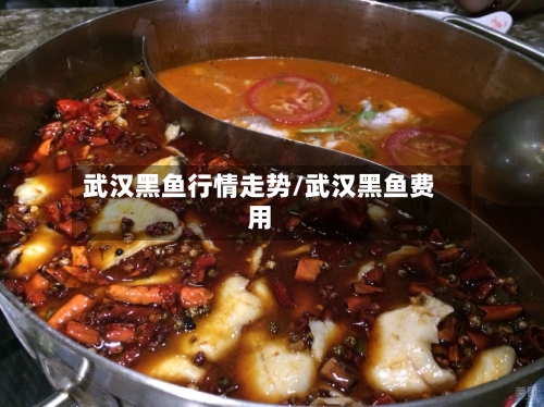 武汉黑鱼行情走势/武汉黑鱼费用
