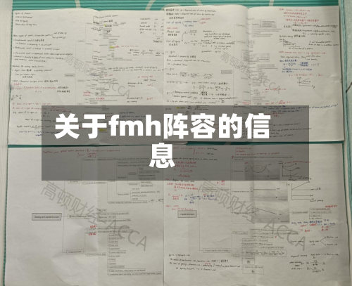 关于fmh阵容的信息