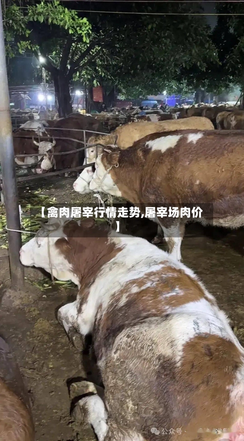 【禽肉屠宰行情走势,屠宰场肉价】