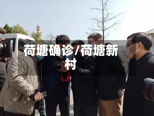 荷塘确诊/荷塘新村