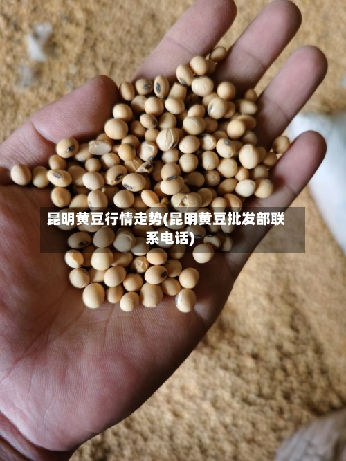 昆明黄豆行情走势(昆明黄豆批发部联系电话)-第2张图片