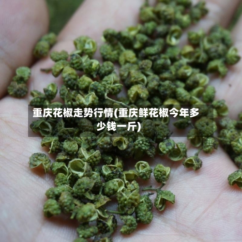 重庆花椒走势行情(重庆鲜花椒今年多少钱一斤)