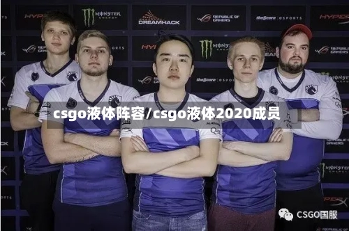 csgo液体阵容/csgo液体2020成员