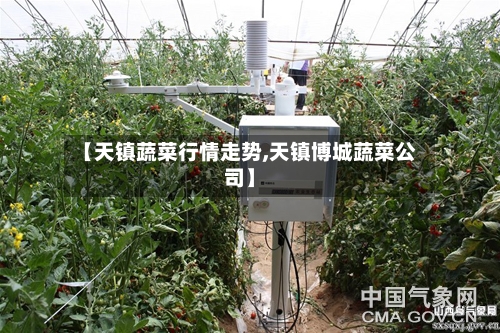 【天镇蔬菜行情走势,天镇博城蔬菜公司】-第2张图片