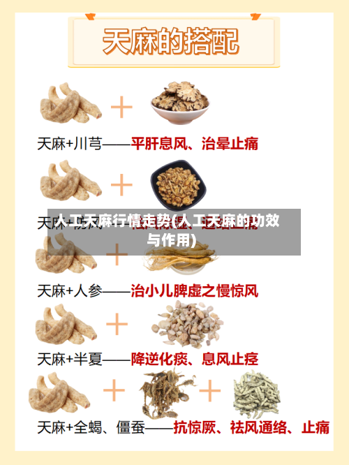 人工天麻行情走势(人工天麻的功效与作用)-第2张图片