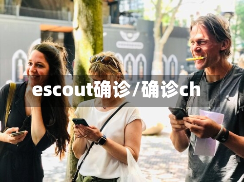 escout确诊/确诊ch-第2张图片