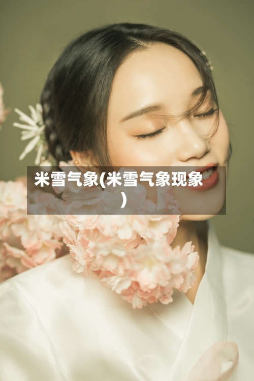 米雪气象(米雪气象现象)