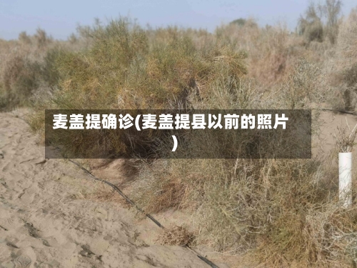 麦盖提确诊(麦盖提县以前的照片)