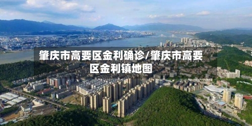 肇庆市高要区金利确诊/肇庆市高要区金利镇地图-第2张图片