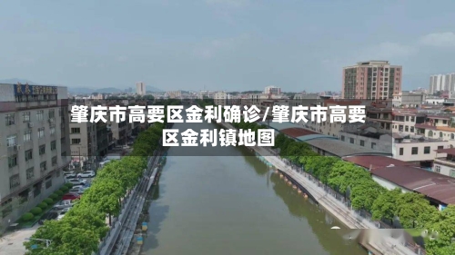 肇庆市高要区金利确诊/肇庆市高要区金利镇地图-第3张图片