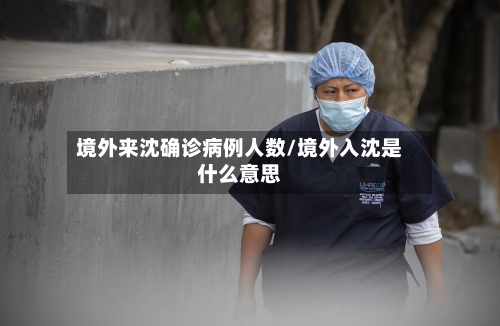 境外来沈确诊病例人数/境外入沈是什么意思-第2张图片