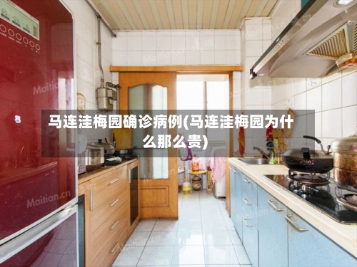 马连洼梅园确诊病例(马连洼梅园为什么那么贵)-第3张图片