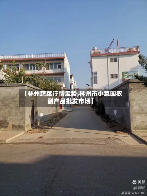 【林州蔬菜行情走势,林州市小菜园农副产品批发市场】-第3张图片
