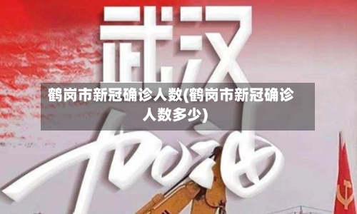 鹤岗市新冠确诊人数(鹤岗市新冠确诊人数多少)-第2张图片