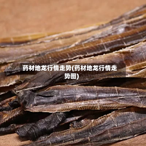 药材地龙行情走势(药材地龙行情走势图)