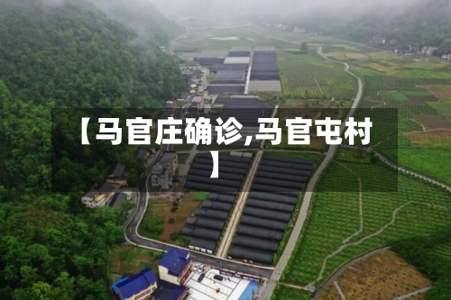 【马官庄确诊,马官屯村】