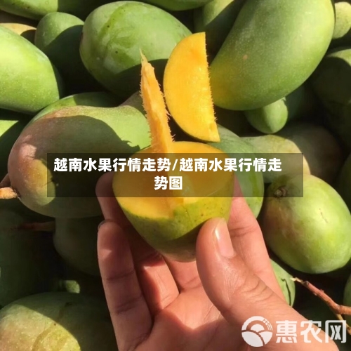 越南水果行情走势/越南水果行情走势图-第2张图片