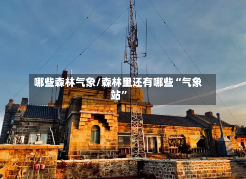 哪些森林气象/森林里还有哪些“气象站	”-第2张图片