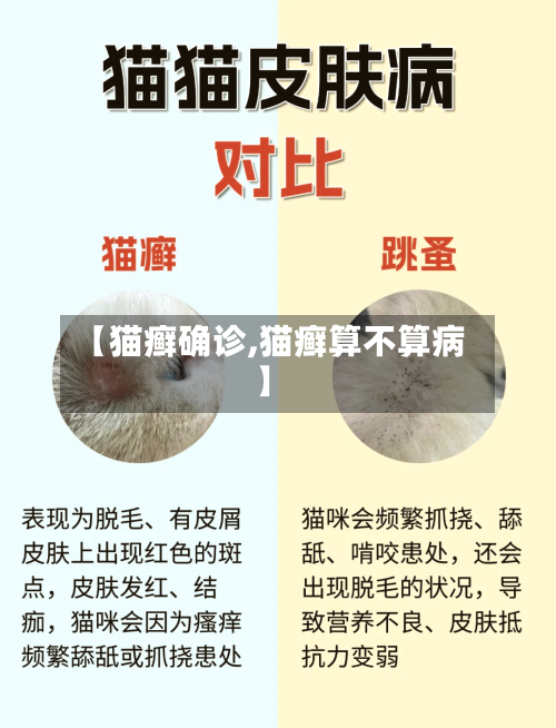【猫癣确诊,猫癣算不算病】-第2张图片