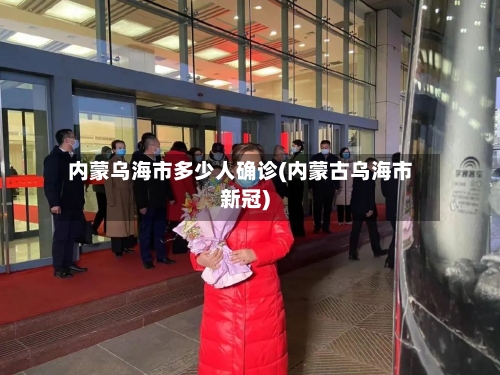 内蒙乌海市多少人确诊(内蒙古乌海市新冠)