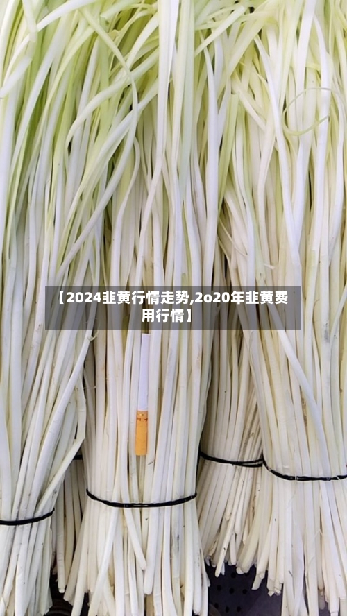 【2024韭黄行情走势,2o20年韭黄费用行情】