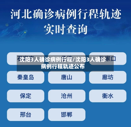 沈阳3人确诊病例行程/沈阳3人确诊病例行程轨迹公布-第2张图片
