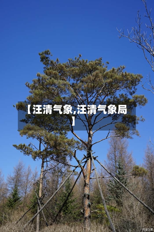 【汪清气象,汪清气象局】