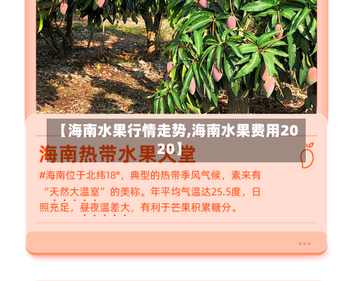 【海南水果行情走势,海南水果费用2020】-第3张图片