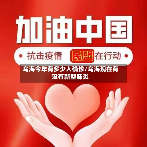乌海今年有多少人确诊/乌海现在有没有新型肺炎-第3张图片