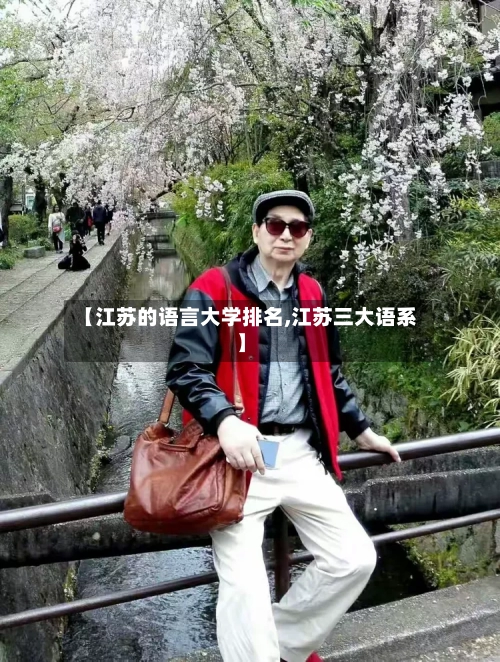 【江苏的语言大学排名,江苏三大语系】-第2张图片