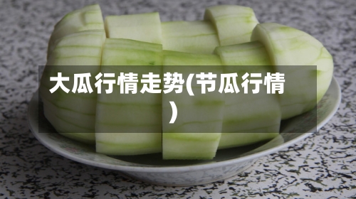 大瓜行情走势(节瓜行情)