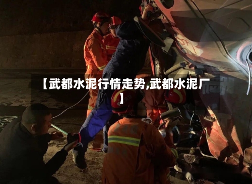 【武都水泥行情走势,武都水泥厂】-第2张图片